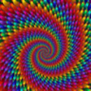 Meet your Posher, Allie